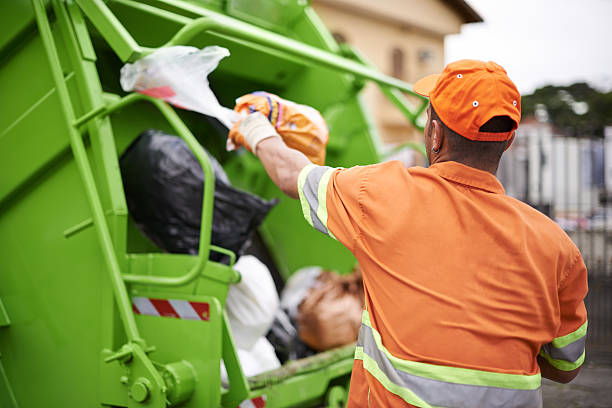Best Dumpster Rental Services  in North Branch, MI